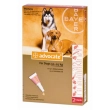 advocate spot on 2 pipette cani g