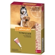 advocate spot on 6 pipette cani g