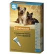 advocate spot on 6 pipette cani m