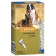 advocate spot on 6 pipette cani xl