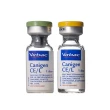 canigen ce+l 1d+sir