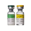 canigen ceppi/l 1d 1ml c/sir
