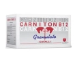 carniton b 12 granulato cavalli 20 bustine