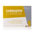 cheradyn integratore per il benessere della pelle 30 compresse