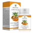 curcuma mc 90 capsule 40,5g