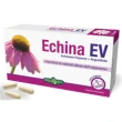 echina ev 30 capsule