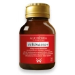 alchemia echinacea+ 40 capsule