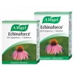 echinaforce 80 compresse vogel