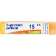 eupatorium perfoliatum "15 ch granuli" 1 contenitore multidose in pp da 4 g (80 granuli) con tappo dispensatore in ps