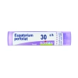 eupatorium perfoliatum "30 ch granuli" 1 contenitore multidose in pp da 4 g (80 granuli) con tappo dispensatore in ps