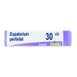 eupatorium perfoliatum "30 ch granuli" 1 contenitore monodose in pp da 1 g