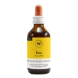 fico biogem 100ml nf