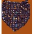 foulard c/prot ffv 1