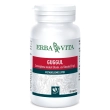 guggul extra 60 capsule 650mg