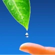 lino semi 250g