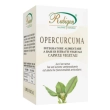 curcuma 60 capsule