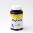 phytoace 60 capsule