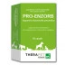 pro enzorb 60 capsule