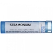 stramonium "200 ch granuli" 1 contenitore monodose in pp da 1 g