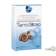 terra silicea 60 tavolette