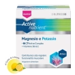 dr. theiss active nutrient magnesio e potassio 20 bustine