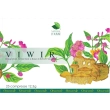 viwir 75 compresse