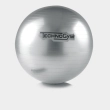 wellness ball silver